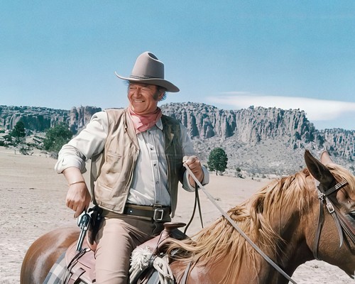 John wayne cowboy - wayne,